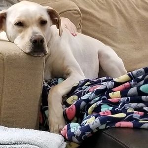 Meet your Posher, Geoffrey